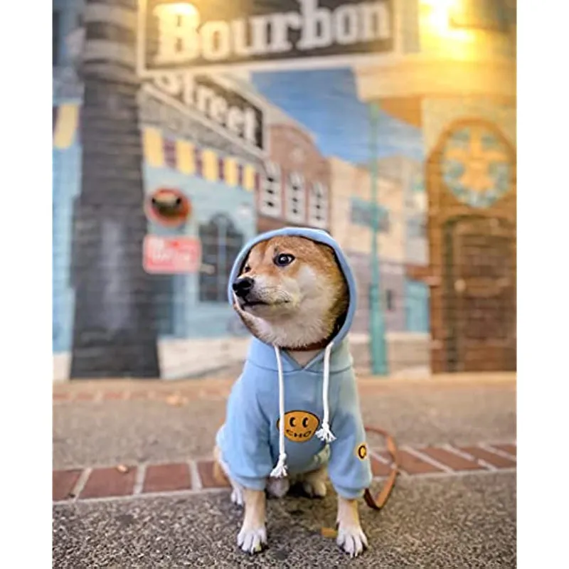 Dog Hoodie Clothing, Cats Hoodies, Stylish Streetwear Blue Dog Sweatshirt Tracksuits, Dog Outfit For Dog Cat Puppy