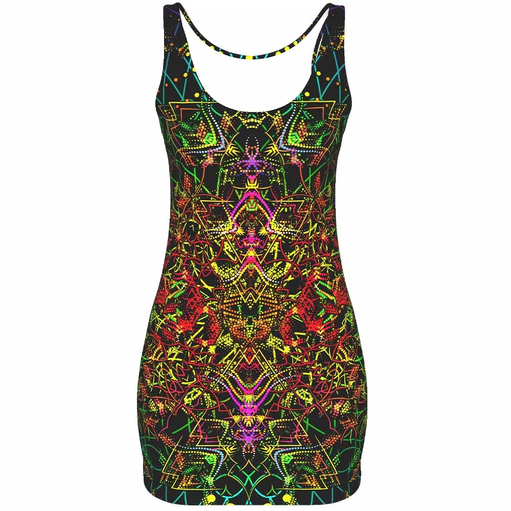 Fractal Universe (MD)