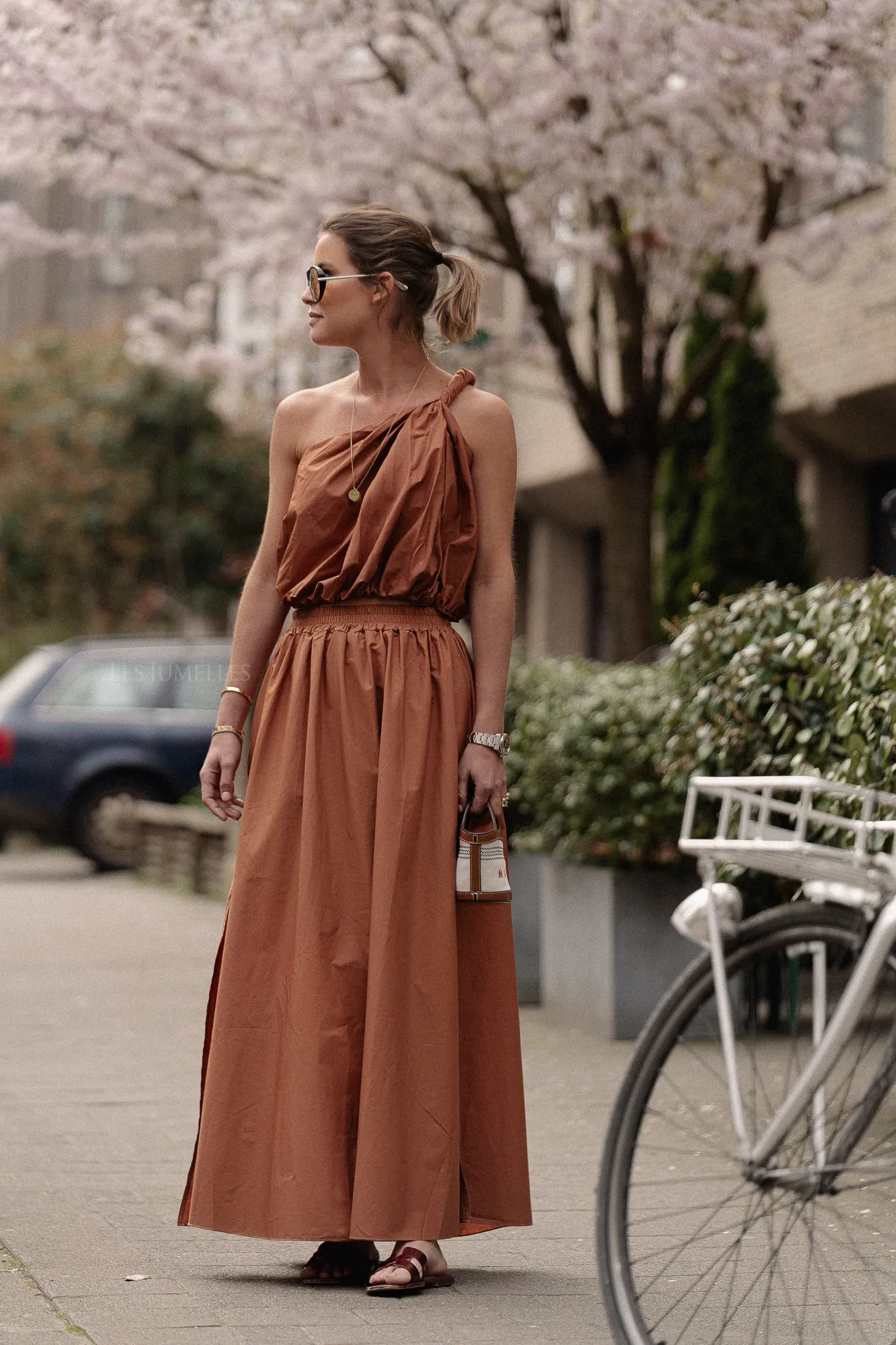 Fran long skirt brown