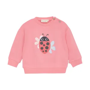 Ladybug Applique Strawberry Pink Sweater