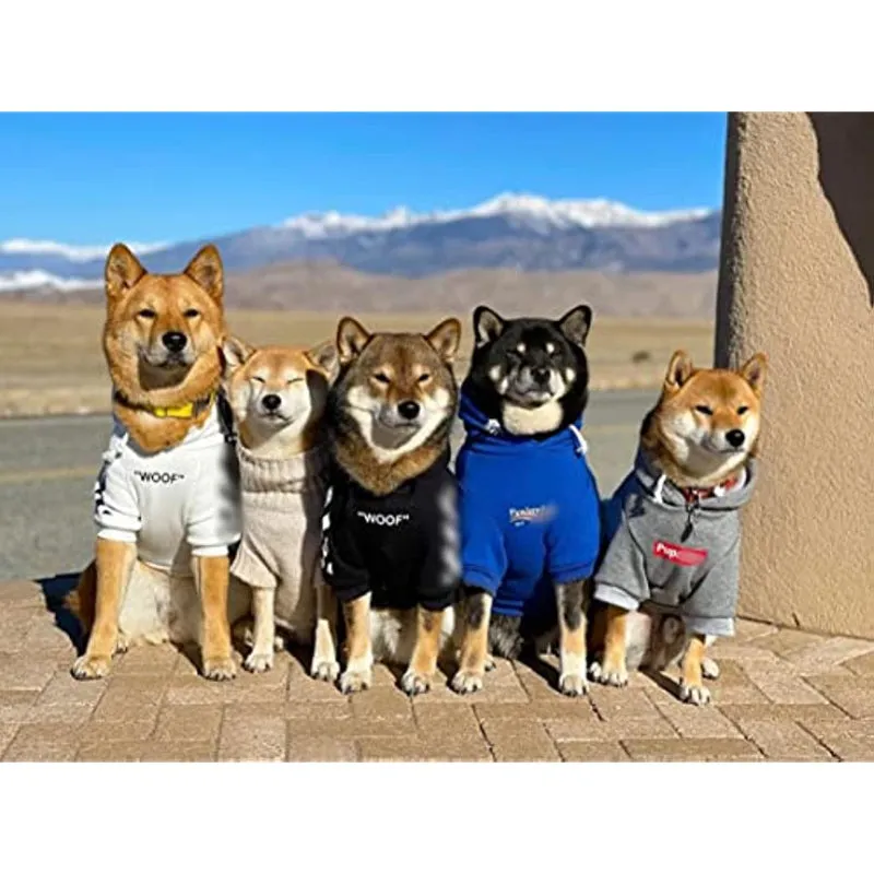 Stylish Dog Hoodie Dog Clothes Streetwear Cotton Sweatshirt Fashion Outfit For Dogs Cats Puppy