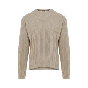 Turtle Neck Cotton Knit Sweater in Pearl